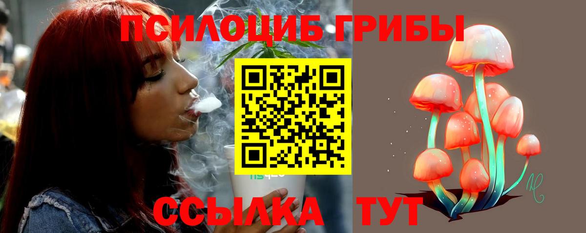 Галлюциногенные грибы мухоморы  Галлюциногенные грибы мухоморы  Вход с VPN  Сухой Лог 